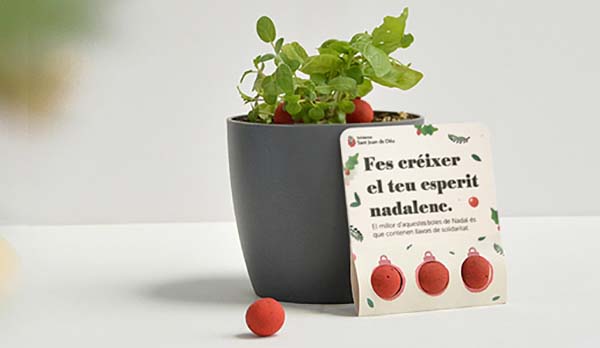 Pack tres boletes plantables