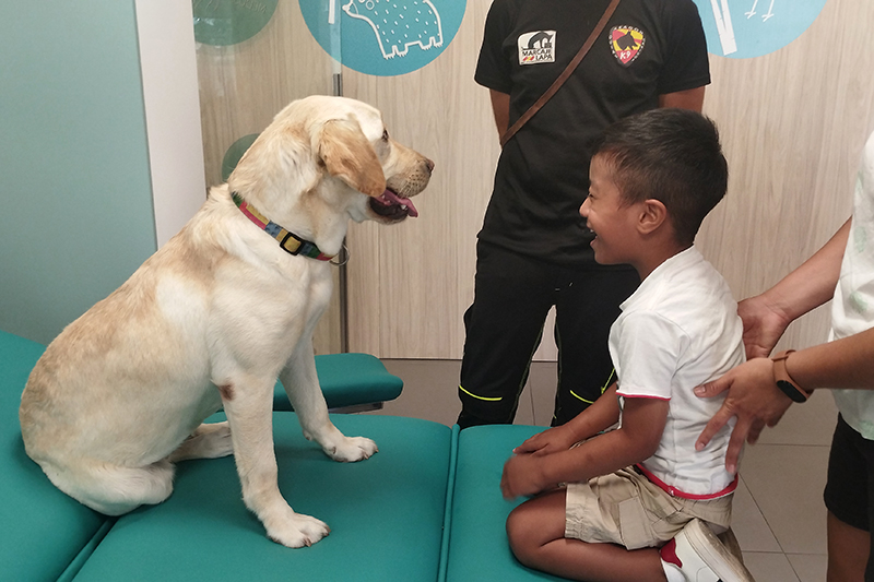 Unidad de salud bucodental del Hospital SJD Zaragoza con Zeta, la perra de terapia con animales.