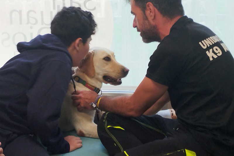 Unidad de salud bucodental del Hospital SJD Zaragoza con Zeta, la perra de terapia con animales.