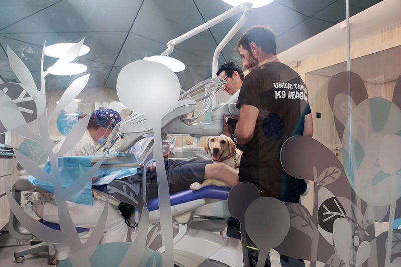 Unidad de salud bucodental del Hospital SJD Zaragoza con Zeta, la perra de terapia con animales.