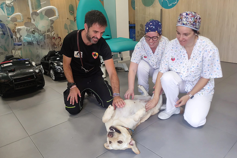 Unidad de salud bucodental del Hospital SJD Zaragoza con Zeta, la perra de terapia con animales.